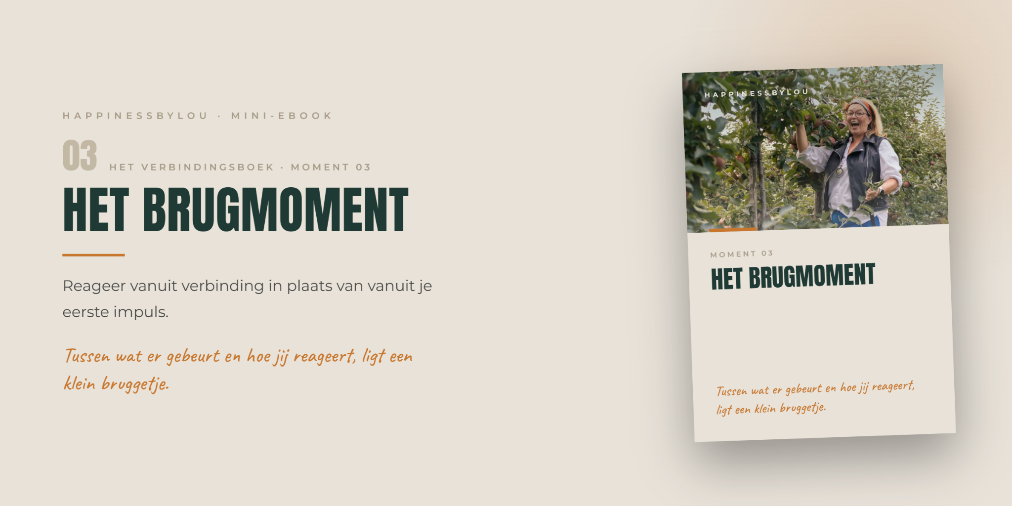 Het Brugmoment van Happiness by Lou